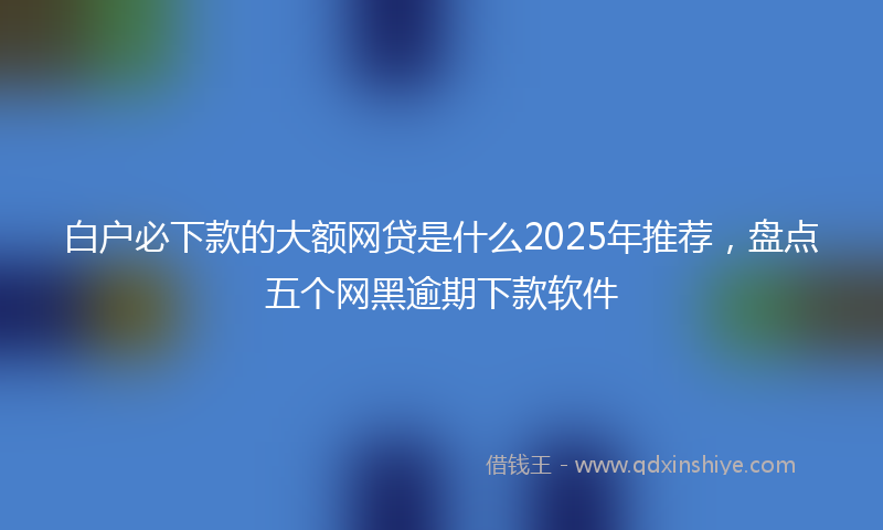 白户必下款的大额网贷是什么2025年推荐，盘点五个网黑逾期下款软件
