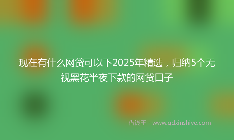 现在有什么网贷可以下2025年精选，归纳5个无视黑花半夜下款的网贷口子