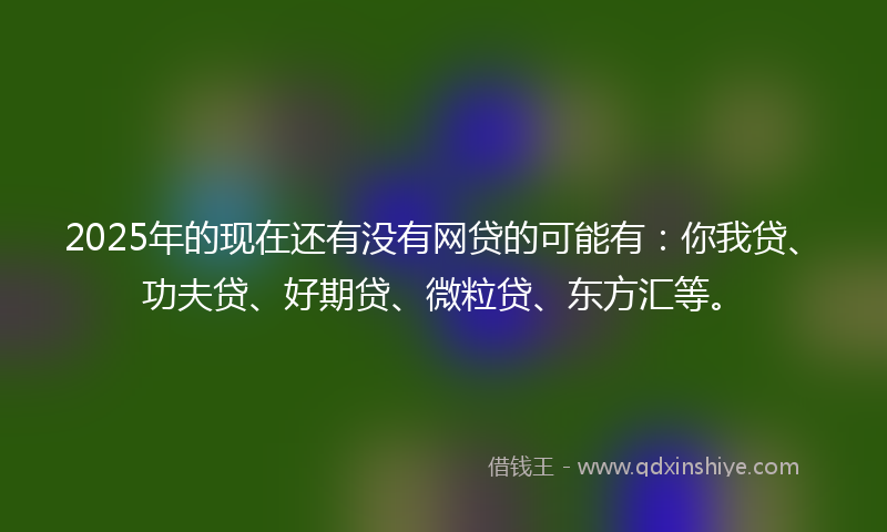 2025年的现在还有没有网贷的可能有：你我贷、功夫贷、好期贷、微粒贷、东方汇等。