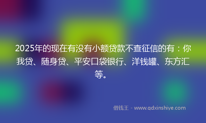 2025年的现在有没有小额贷款不查征信的有：你我贷、随身贷、平安口袋银行、洋钱罐、东方汇等。