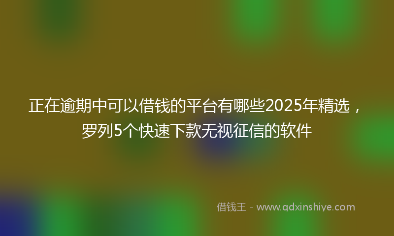 正在逾期中可以借钱的平台有哪些2025年精选，罗列5个快速下款无视征信的软件