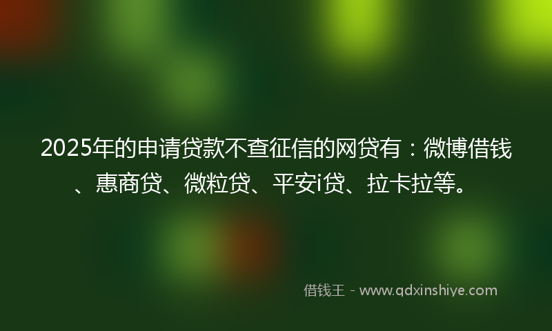 2025年的申请贷款不查征信的网贷有：微博借钱、惠商贷、微粒贷、平安i贷、拉卡拉等。