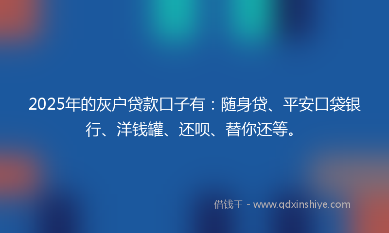 2025年的灰户贷款口子有：随身贷、平安口袋银行、洋钱罐、还呗、替你还等。