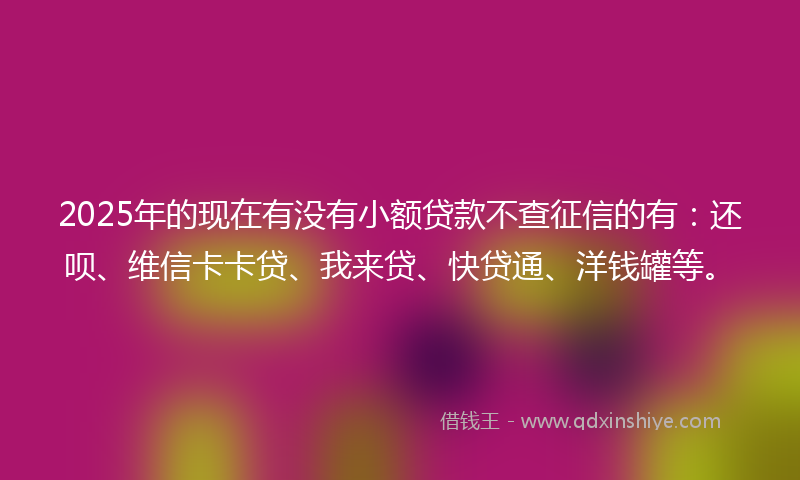 2025年的现在有没有小额贷款不查征信的有:还呗、维信卡卡贷、我来贷、快贷通、洋钱罐等。