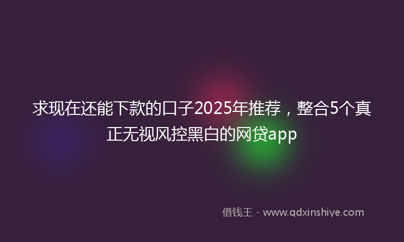 求现在还能下款的口子2025年推荐,整合5个真正无视风控黑白的网贷app