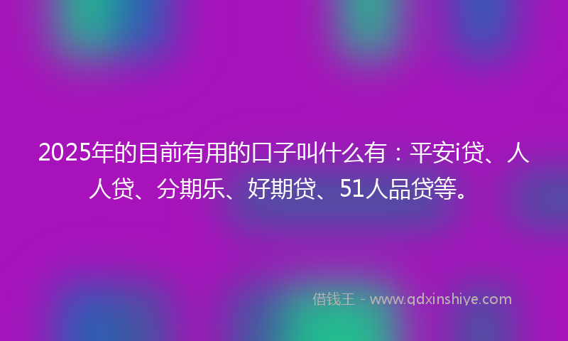 2025年的目前有用的口子叫什么有：平安i贷、人人贷、分期乐、好期贷、51人品贷等。