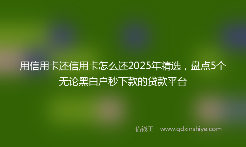 用信用卡还信用卡怎么还2025年精选，盘点5个无论黑白户秒下款的贷款平台