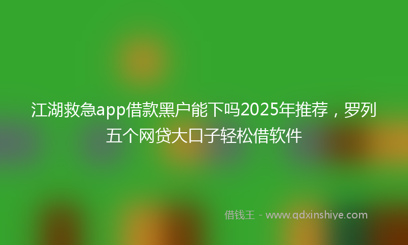 江湖救急app借款黑户能下吗2025年推荐，罗列五个网贷大口子轻松借软件