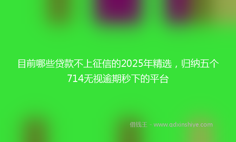 目前哪些贷款不上征信的2025年精选，归纳五个714无视逾期秒下的平台