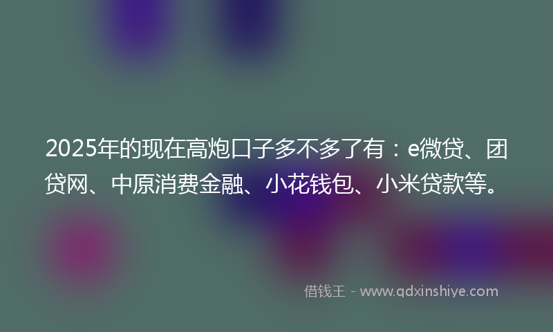 2025年的现在高炮口子多不多了有：e微贷、团贷网、中原消费金融、小花钱包、小米贷款等。