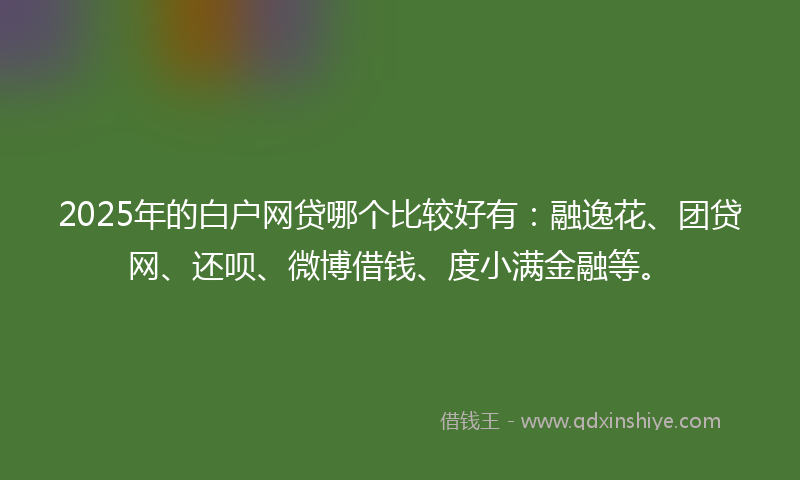 2025年的白户网贷哪个比较好有：融逸花、团贷网、还呗、微博借钱、度小满金融等。