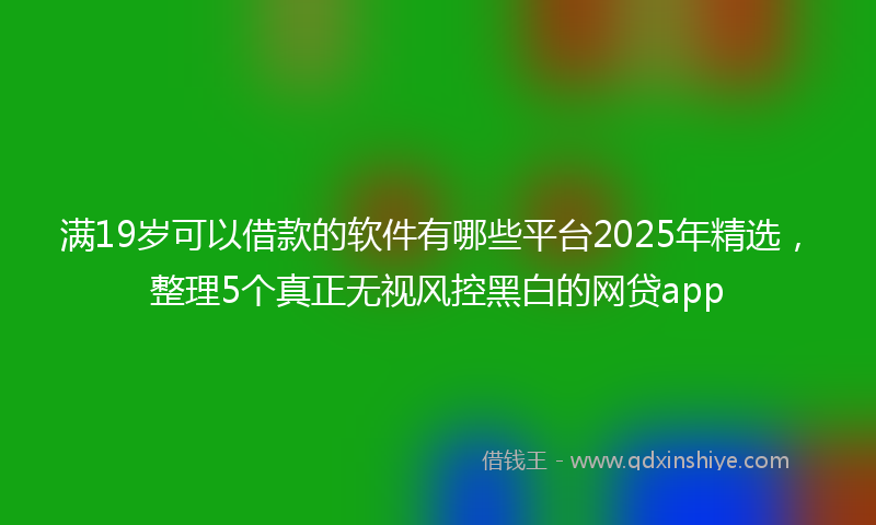 满19岁可以借款的软件有哪些平台2025年精选，整理5个真正无视风控黑白的网贷app