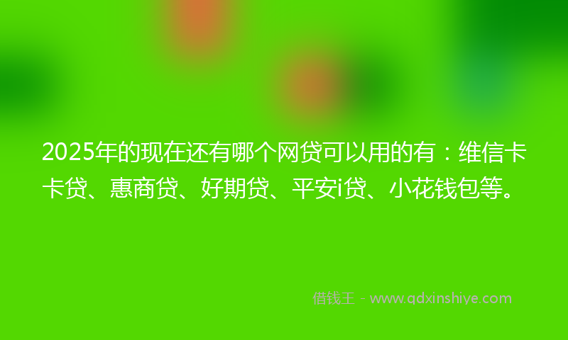 2025年的现在还有哪个网贷可以用的有：维信卡卡贷、惠商贷、好期贷、平安i贷、小花钱包等。