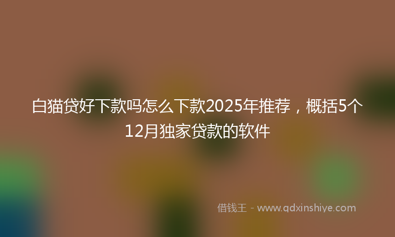 白猫贷好下款吗怎么下款2025年推荐，概括5个12月独家贷款的软件