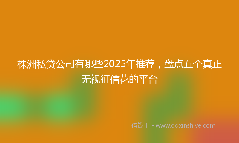 株洲私贷公司有哪些2025年推荐，盘点五个真正无视征信花的平台