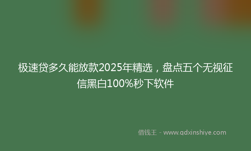 极速贷多久能放款2025年精选，盘点五个无视征信黑白100%秒下软件