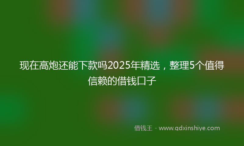 现在高炮还能下款吗2025年精选，整理5个值得信赖的借钱口子