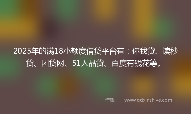 2025年的满18小额度借贷平台有：你我贷、读秒贷、团贷网、51人品贷、百度有钱花等。