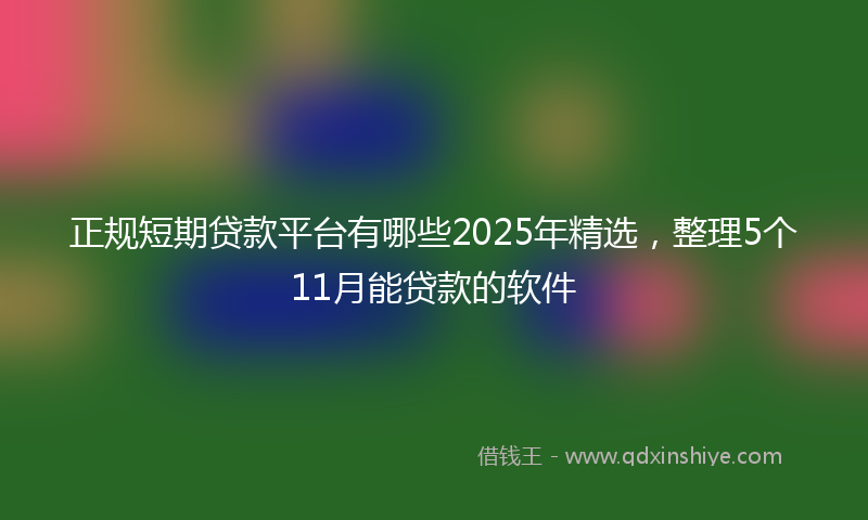 正规短期贷款平台有哪些2025年精选，整理5个11月能贷款的软件