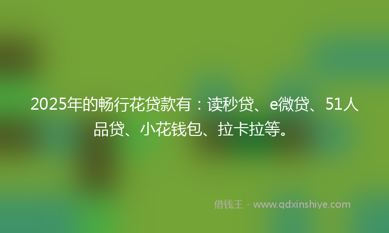2025年的畅行花贷款有：读秒贷、e微贷、51人品贷、小花钱包、拉卡拉等。