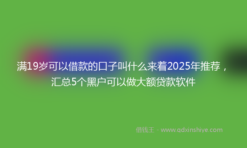 满19岁可以借款的口子叫什么来着2025年推荐，汇总5个黑户可以做大额贷款软件