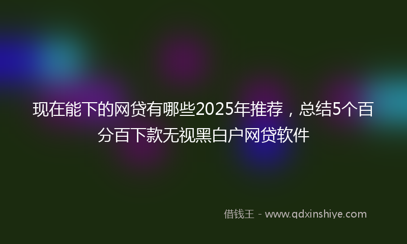 现在能下的网贷有哪些2025年推荐，总结5个百分百下款无视黑白户网贷软件