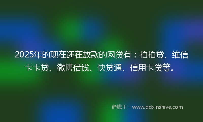 2025年的现在还在放款的网贷有：拍拍贷、维信卡卡贷、微博借钱、快贷通、信用卡贷等。