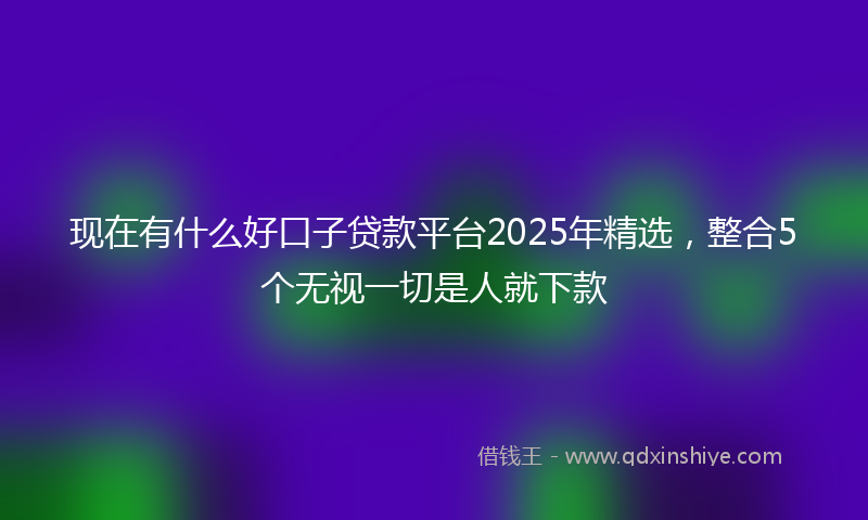 现在有什么好口子贷款平台2025年精选，整合5个无视一切是人就下款