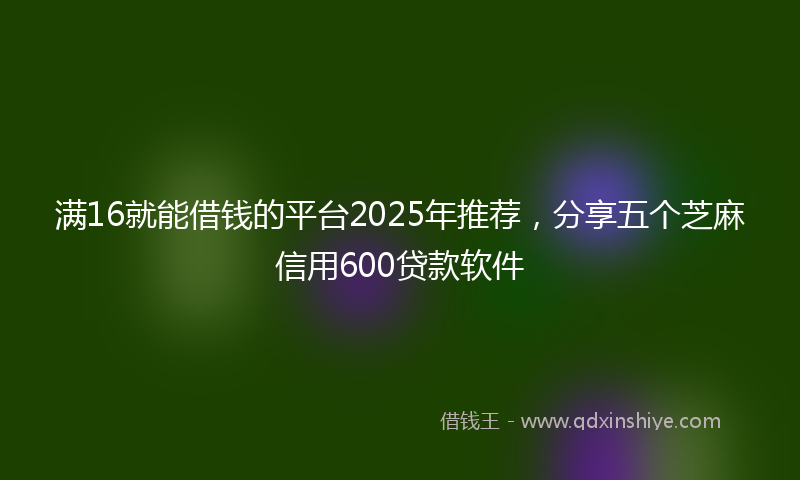 满16就能借钱的平台2025年推荐，分享五个芝麻信用600贷款软件