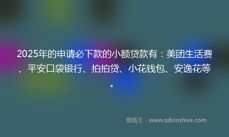 2025年的申请必下款的小额贷款有：美团生活费、平安口袋银行、拍拍贷、小花钱包、安逸花等。