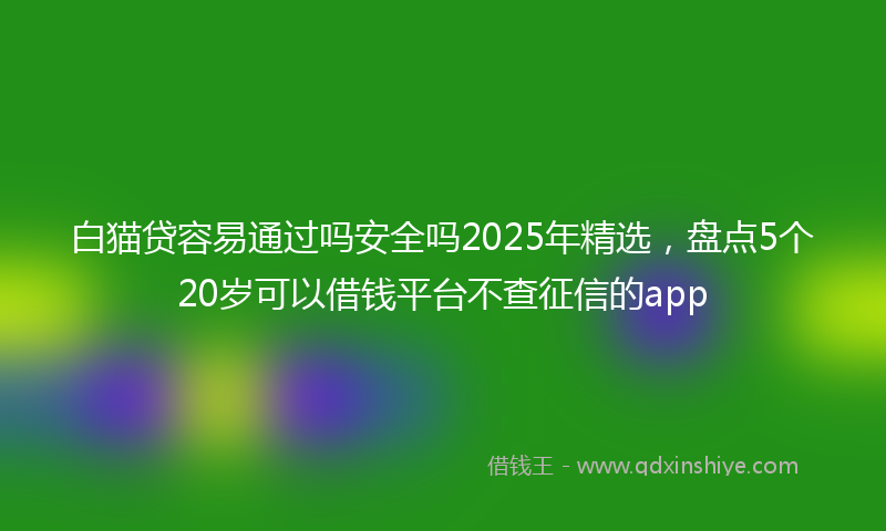 白猫贷容易通过吗安全吗2025年精选，盘点5个20岁可以借钱平台不查征信的app