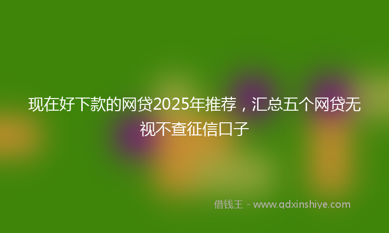 现在好下款的网贷2025年推荐，汇总五个网贷无视不查征信口子