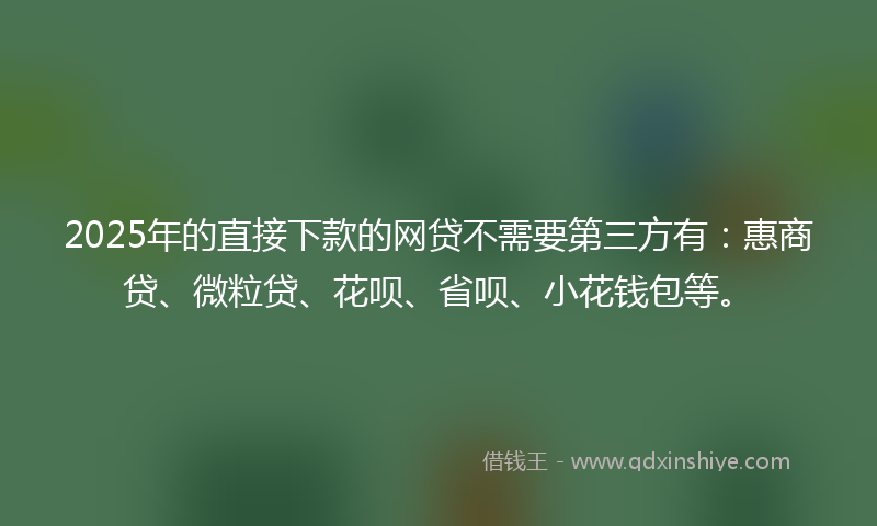 2025年的直接下款的网贷不需要第三方有：惠商贷、微粒贷、花呗、省呗、小花钱包等。