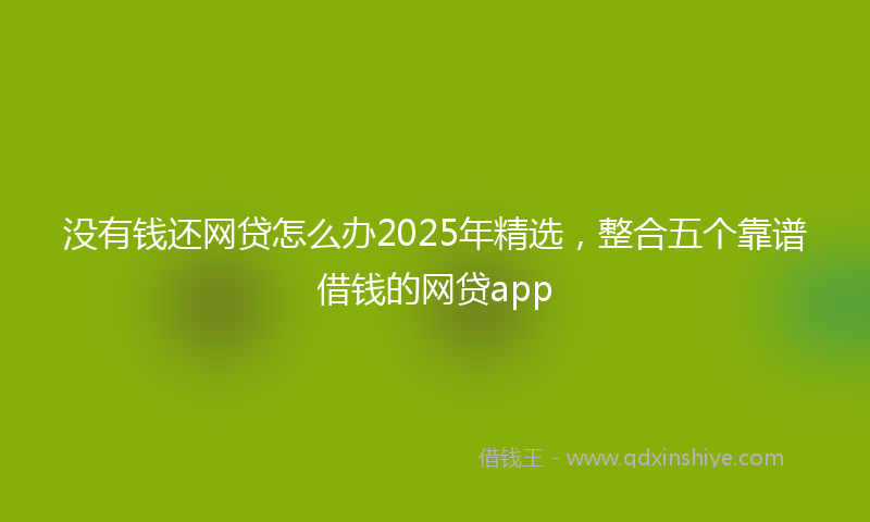 没有钱还网贷怎么办2025年精选，整合五个靠谱借钱的网贷app