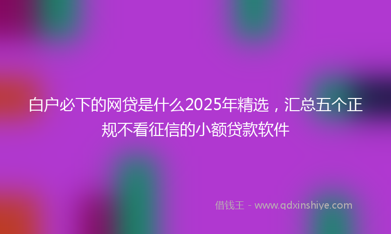 白户必下的网贷是什么2025年精选，汇总五个正规不看征信的小额贷款软件