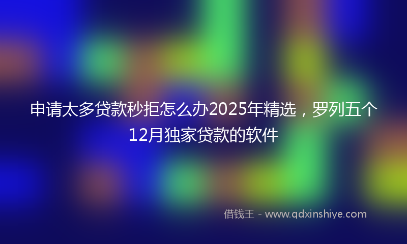 申请太多贷款秒拒怎么办2025年精选，罗列五个12月独家贷款的软件