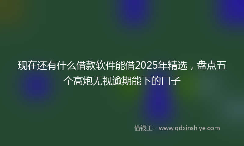 现在还有什么借款软件能借2025年精选，盘点五个高炮无视逾期能下的口子