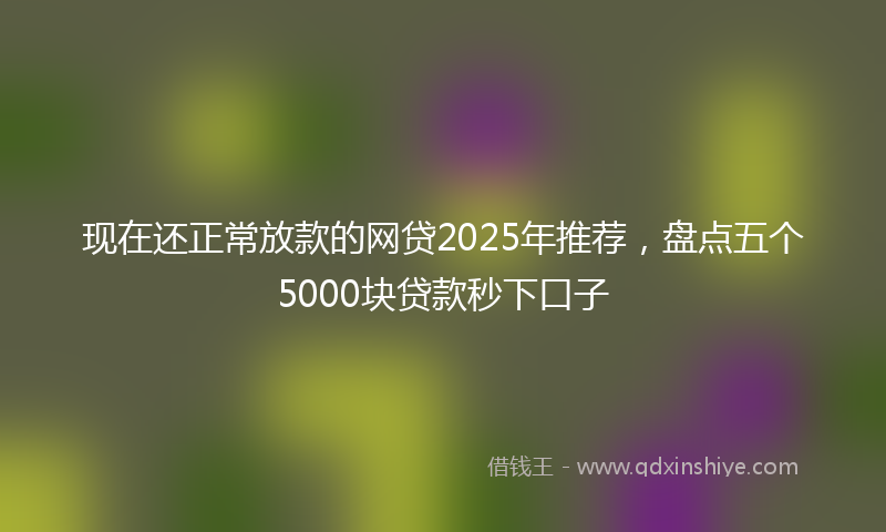 现在还正常放款的网贷2025年推荐，盘点五个5000块贷款秒下口子