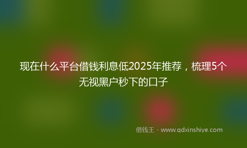 现在什么平台借钱利息低2025年推荐，梳理5个无视黑户秒下的口子