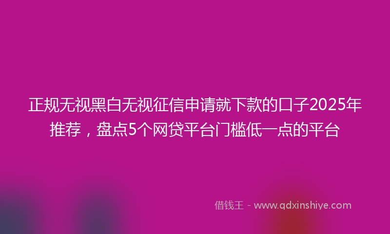 正规无视黑白无视征信申请就下款的口子2025年推荐，盘点5个网贷平台门槛低一点的平台