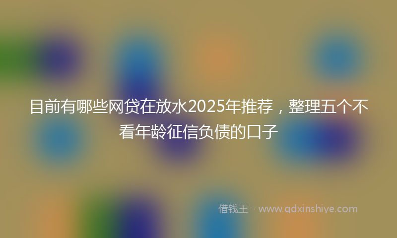 目前有哪些网贷在放水2025年推荐，整理五个不看年龄征信负债的口子
