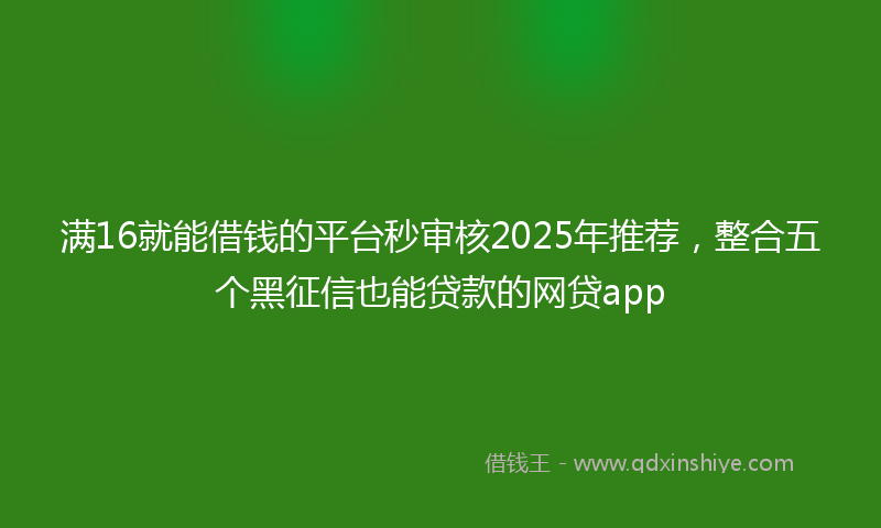 满16就能借钱的平台秒审核2025年推荐，整合五个黑征信也能贷款的网贷app