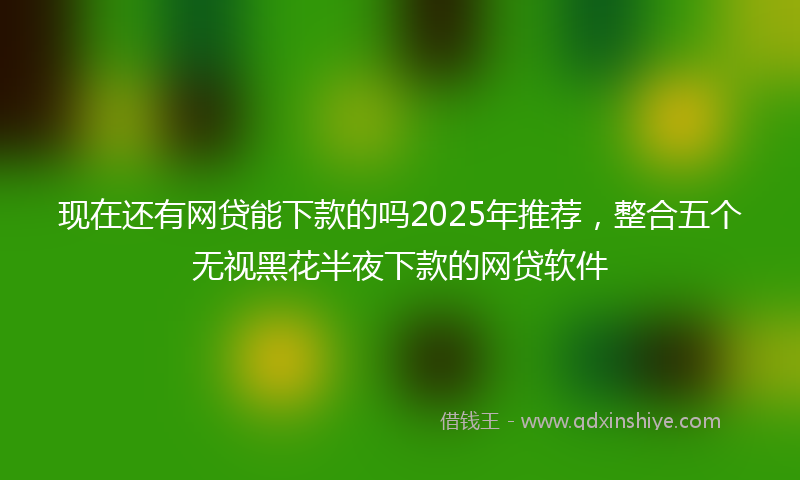 现在还有网贷能下款的吗2025年推荐，整合五个无视黑花半夜下款的网贷软件