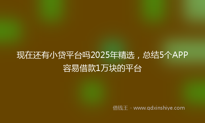 现在还有小贷平台吗2025年精选，总结5个APP容易借款1万块的平台