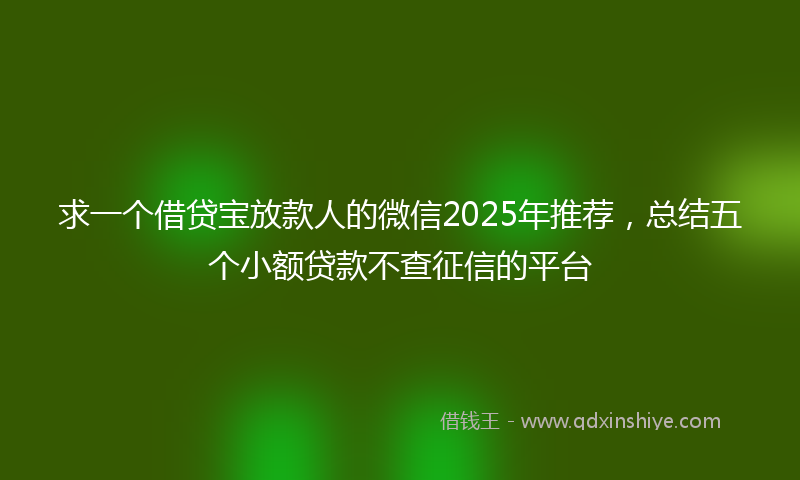求一个借贷宝放款人的微信2025年推荐，总结五个小额贷款不查征信的平台