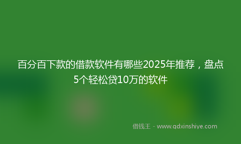 百分百下款的借款软件有哪些2025年推荐，盘点5个轻松贷10万的软件