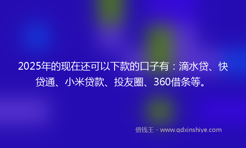 2025年的现在还可以下款的口子有：滴水贷、快贷通、小米贷款、投友圈、360借条等。