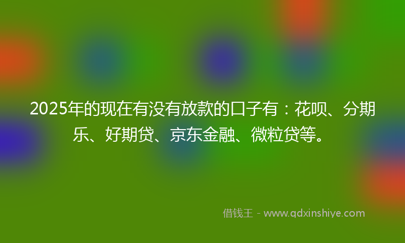 2025年的现在有没有放款的口子有：花呗、分期乐、好期贷、京东金融、微粒贷等。