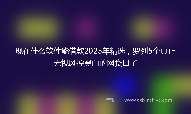 现在什么软件能借款2025年精选，罗列5个真正无视风控黑白的网贷口子