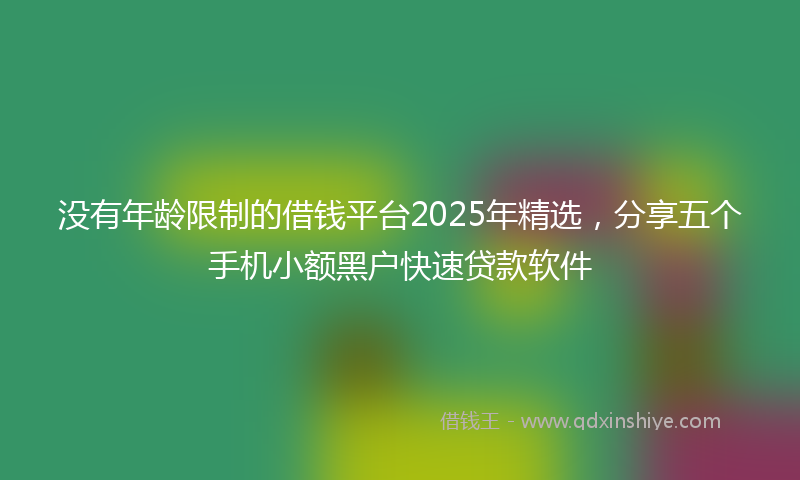 没有年龄限制的借钱平台2025年精选，分享五个手机小额黑户快速贷款软件